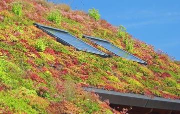 Prince Hill living roof systems
